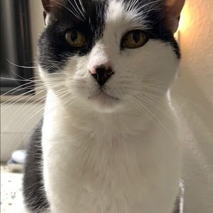 Meet your Posher, Aliyya